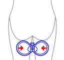 Bekkenbodemtrainer
