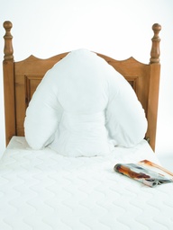 [AB2 SP14214] Batwing coussin - housse coussin Batwing